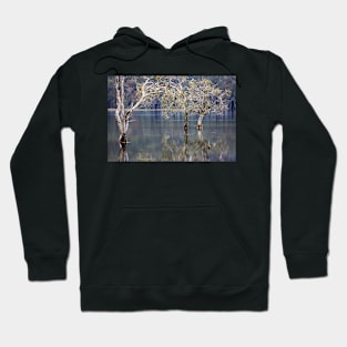 Serenity Hoodie